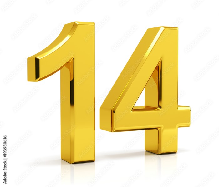 Number 14 Pictures
