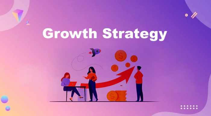 Growth Strategy - FourWeekMBA